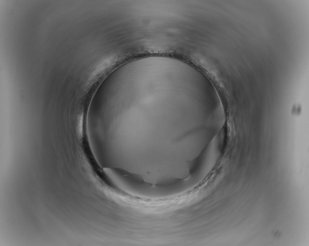 X0000091370019200708101541