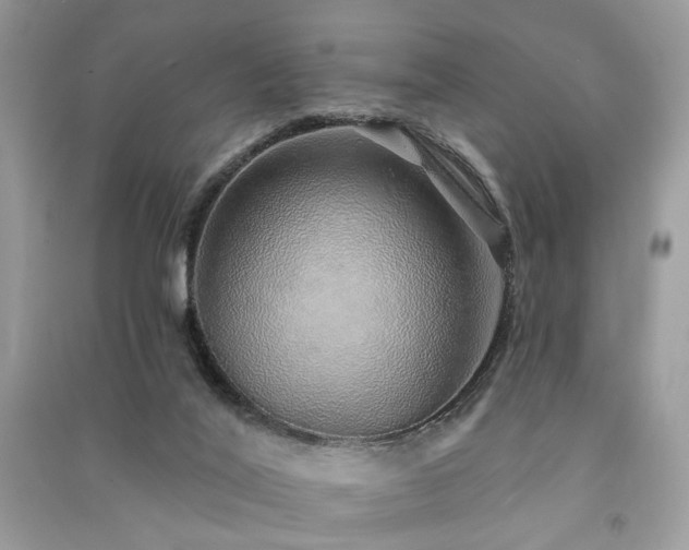 X0000091370020200708101541