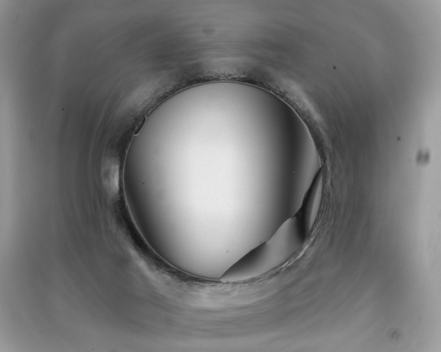 X0000091370021200708101541