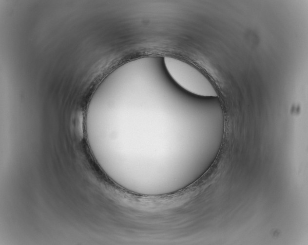 X0000091370022200708101541