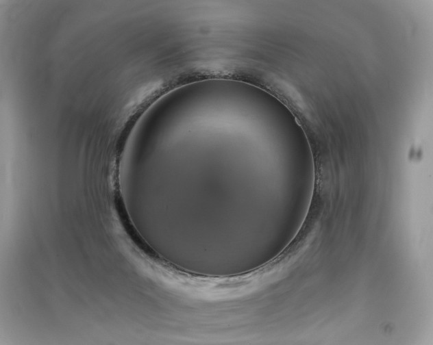 X0000091370023200708101541