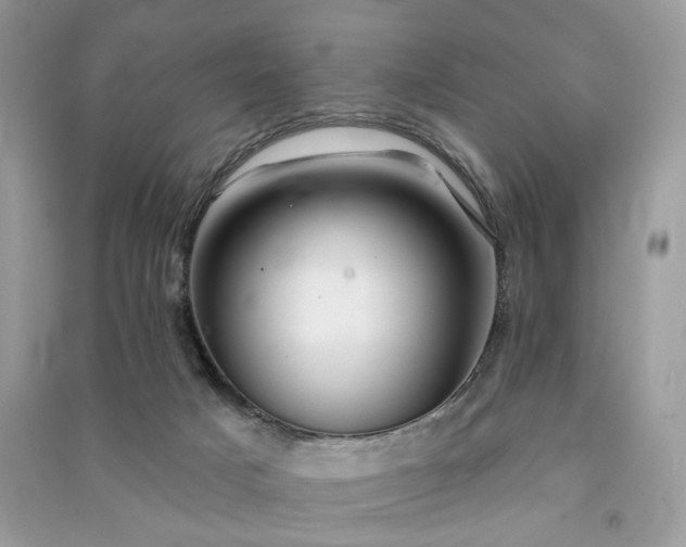 X0000091370025200708101541