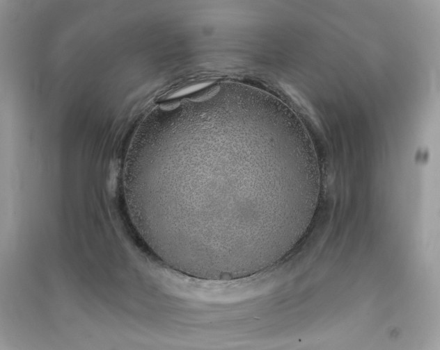 X0000091370026200708101541