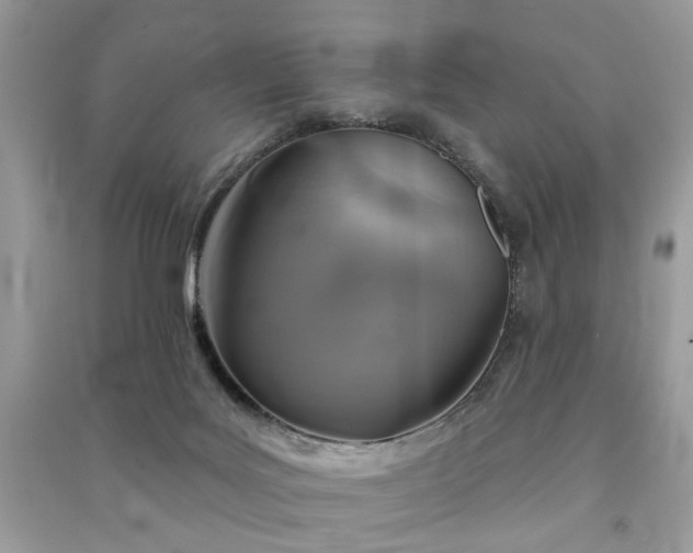 X0000091370027200708101541