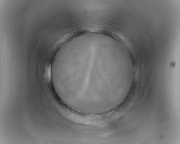 X0000091370028200708101541