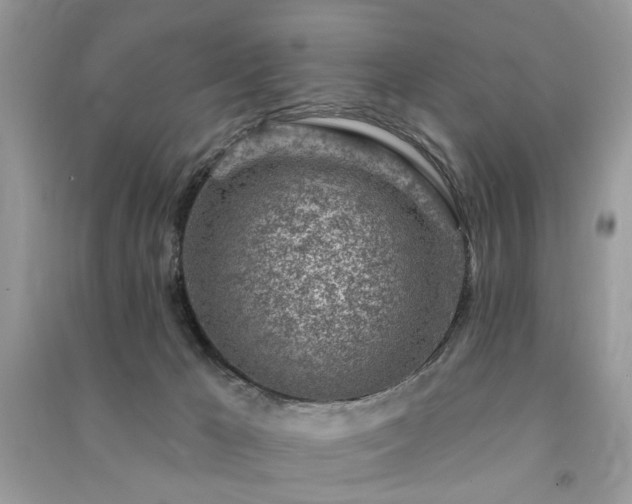 X0000091370029200708101541