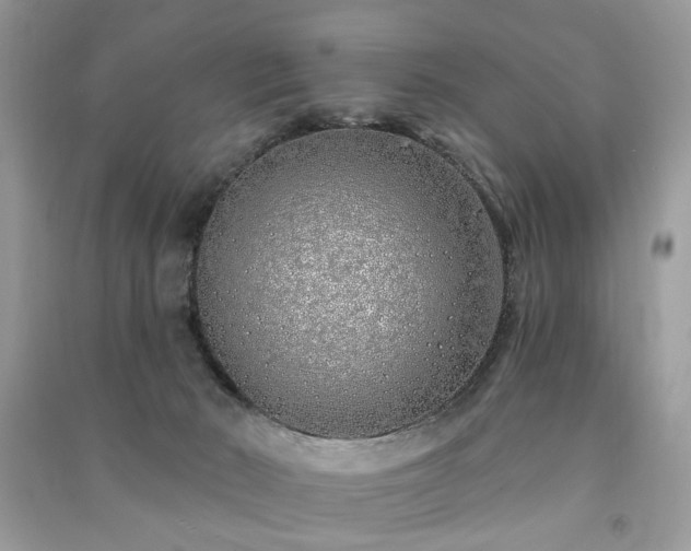 X0000091370030200708101541