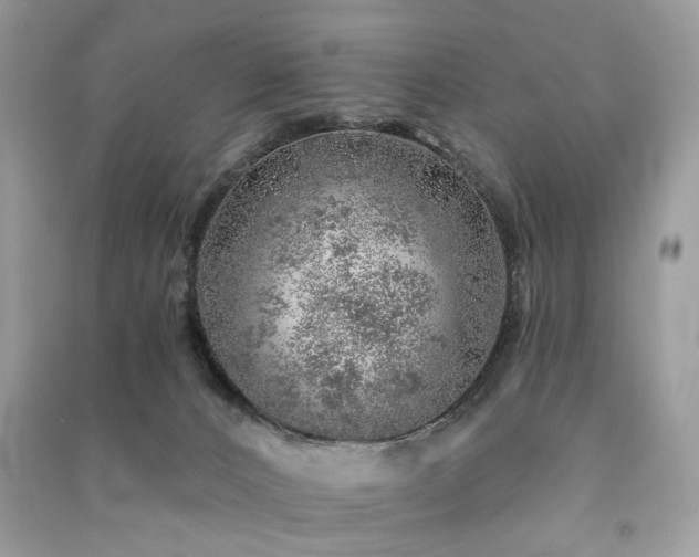 X0000091370032200708101541