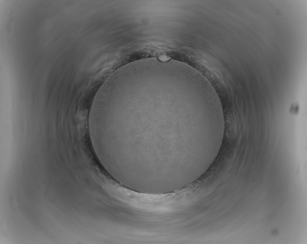 X0000091370034200708101541