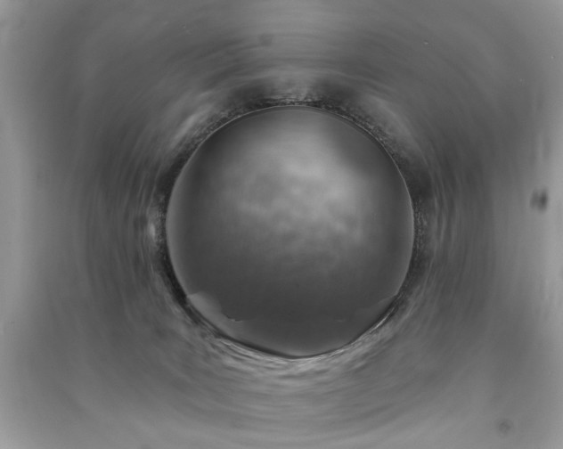 X0000091370035200708101541