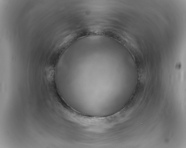 X0000091370036200708101541