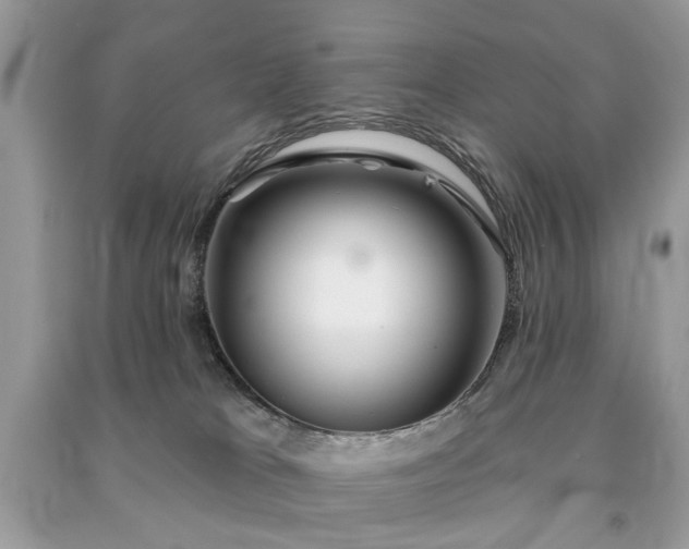 X0000091370037200708101541