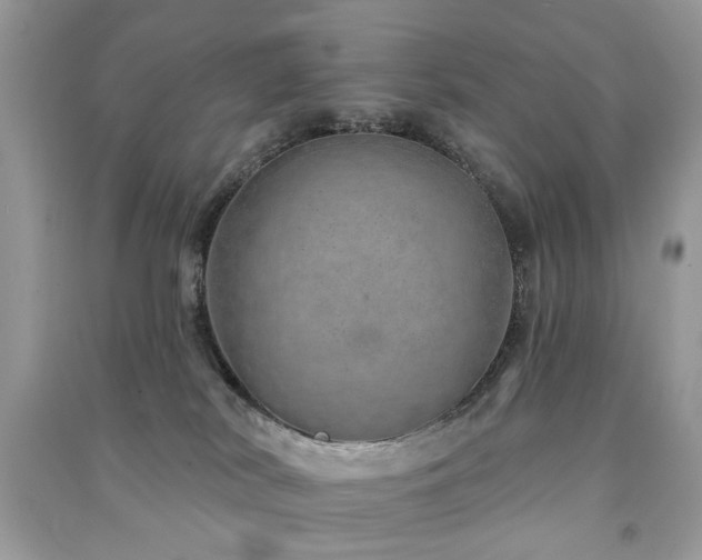 X0000091370038200708101541