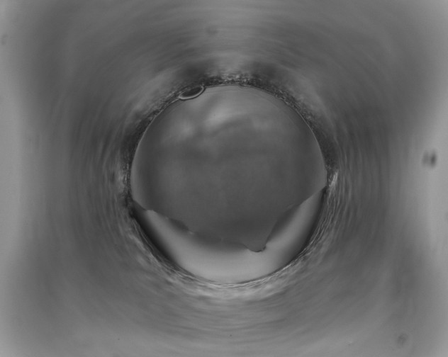 X0000091370039200708101541