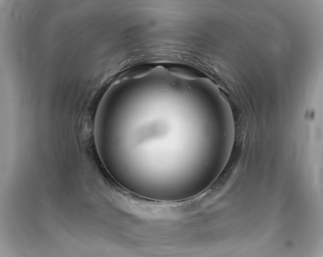 X0000091370040200708101541