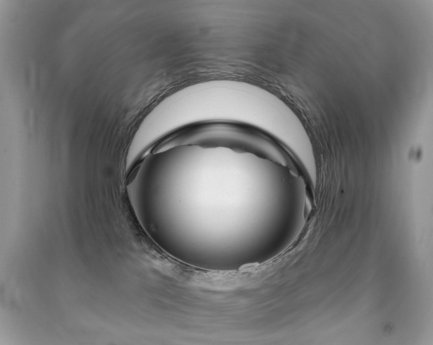 X0000091370041200708101541