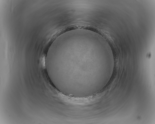 X0000091370042200708101541