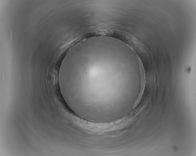 X0000091370043200708101541