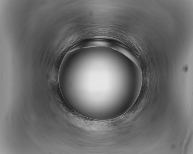 X0000091370044200708101541