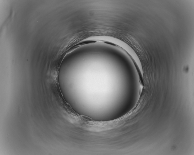 X0000091370045200708101541