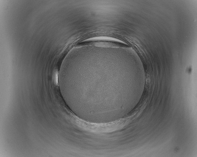 X0000091370046200708101541