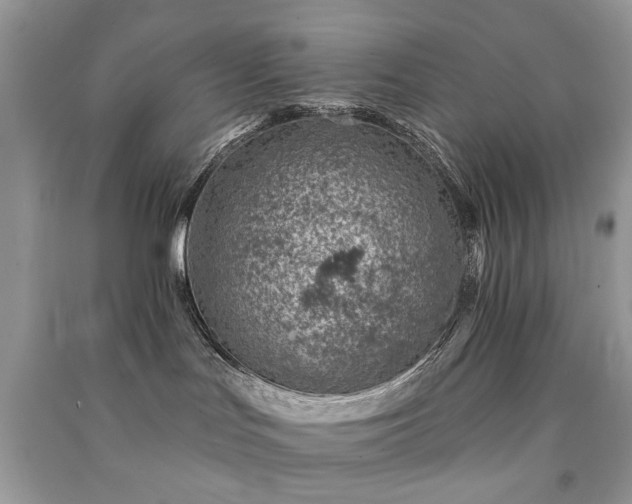 X0000091370047200708101541