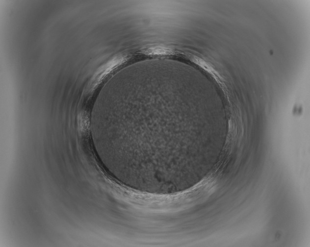 X0000091370048200708101541