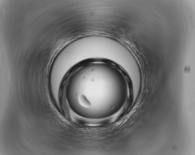 X0000091370049200708101540