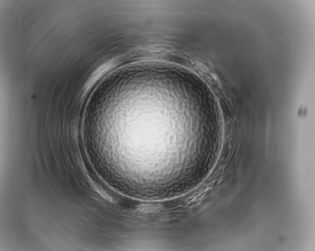 X0000091370051200708101540