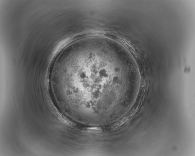 X0000091370053200708101540