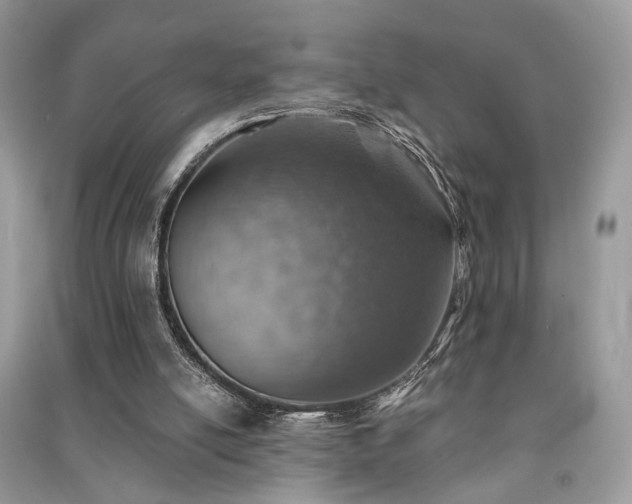 X0000091370054200708101540