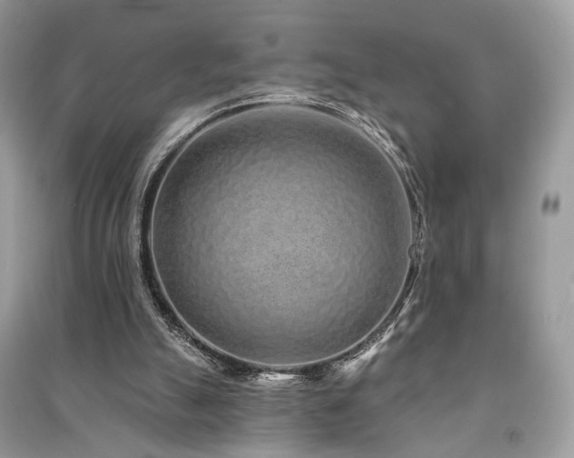 X0000091370055200708101540