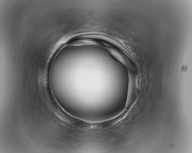 X0000091370056200708101540