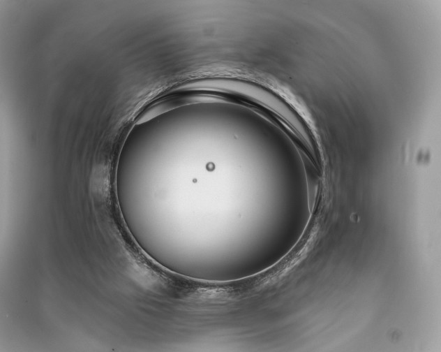 X0000091370057200708101540