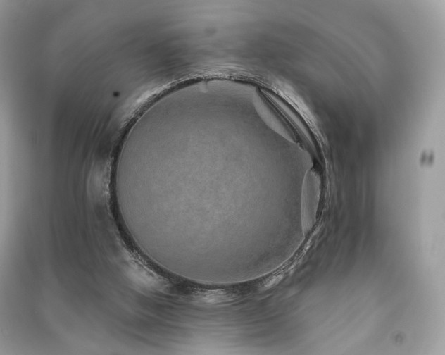 X0000091370058200708101541