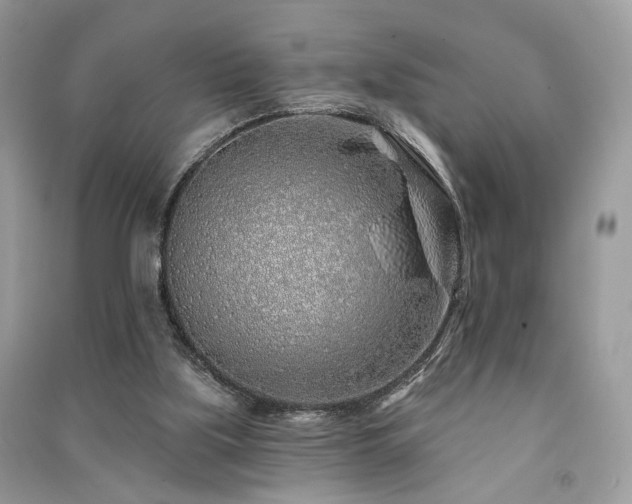 X0000091370059200708101541