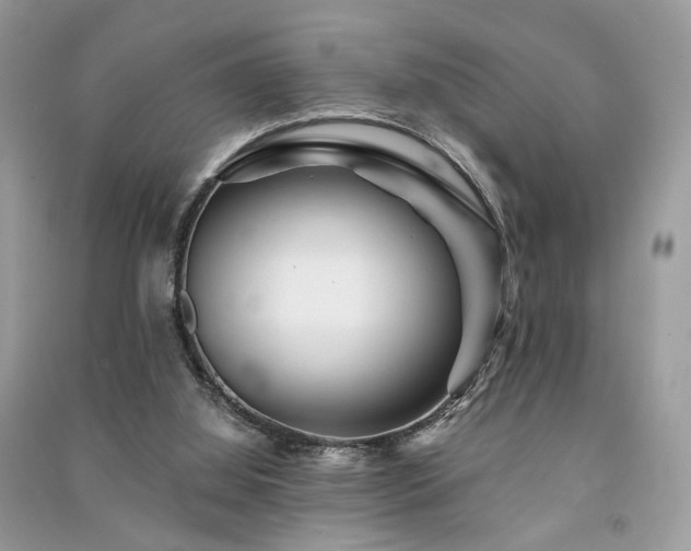 X0000091370060200708101541