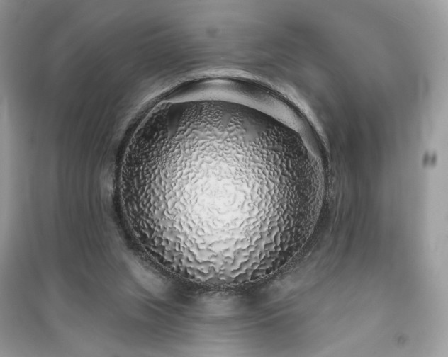 X0000091370063200708101541