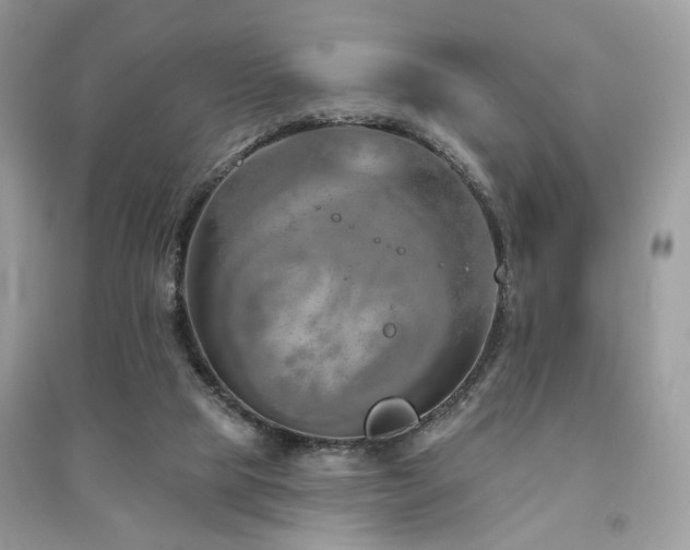 X0000091370065200708101541