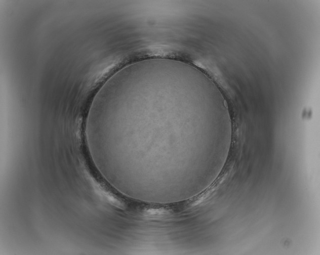 X0000091370066200708101541