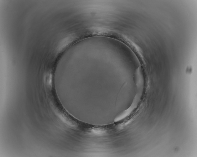 X0000091370067200708101541