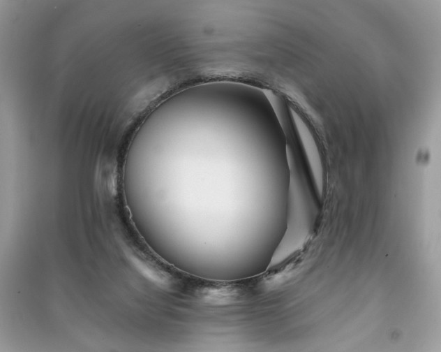 X0000091370068200708101541