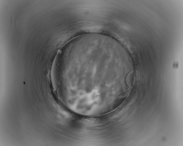 X0000091370069200708101541