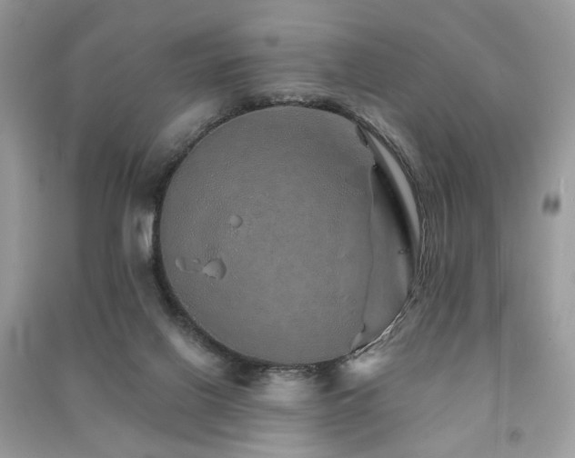 X0000091370070200708101541