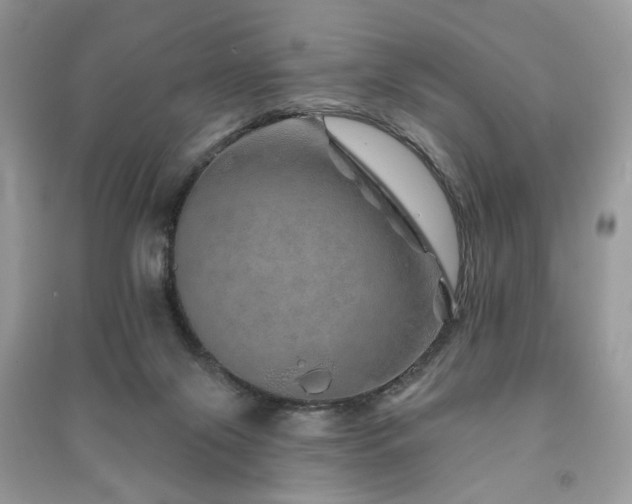 X0000091370071200708101541