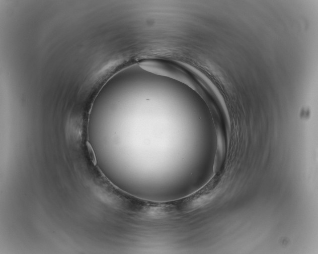 X0000091370072200708101541