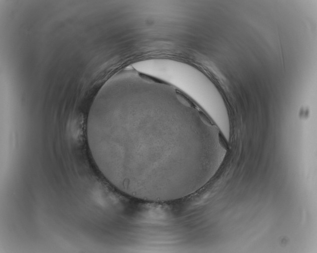 X0000091370073200708101541