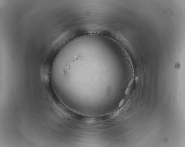 X0000091370074200708101541