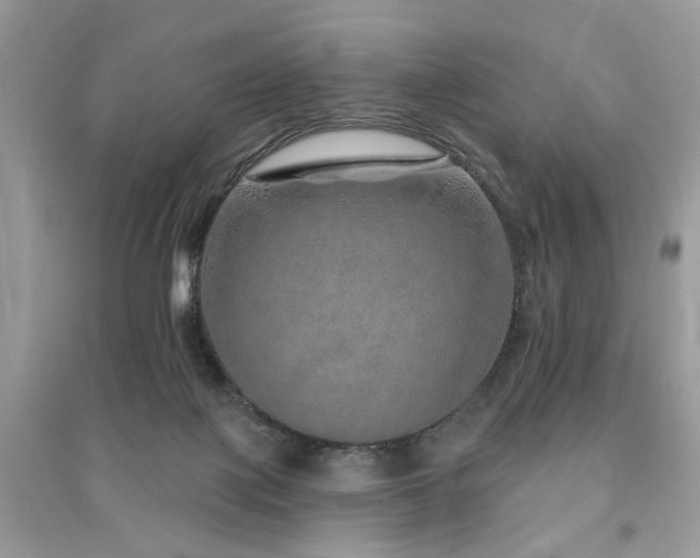 X0000091370075200708101541