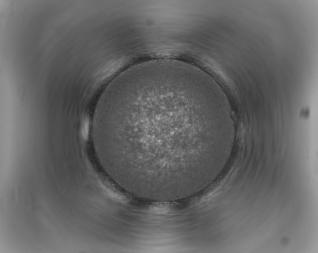 X0000091370076200708101541